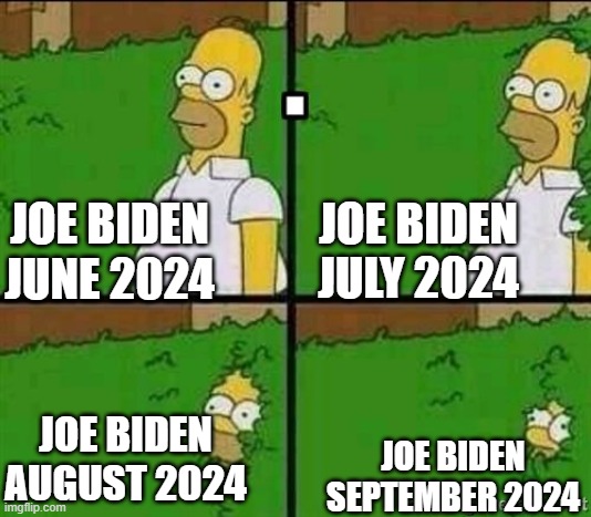 Disappearing Act | JOE BIDEN JULY 2024; JOE BIDEN JUNE 2024; JOE BIDEN AUGUST 2024; JOE BIDEN SEPTEMBER 2024 | image tagged in homer fade into things | made w/ Imgflip meme maker