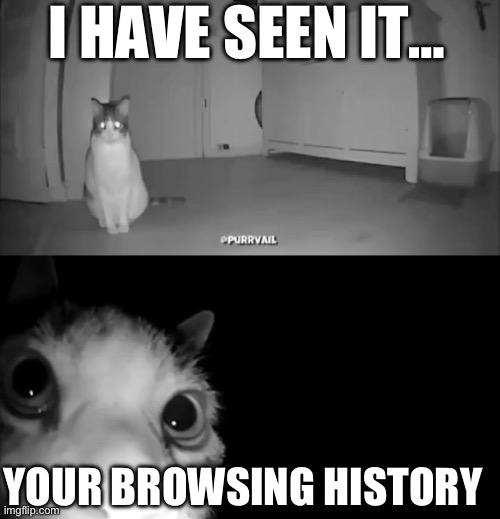 I have… | I HAVE SEEN IT…; YOUR BROWSING HISTORY | image tagged in funny memes | made w/ Imgflip meme maker