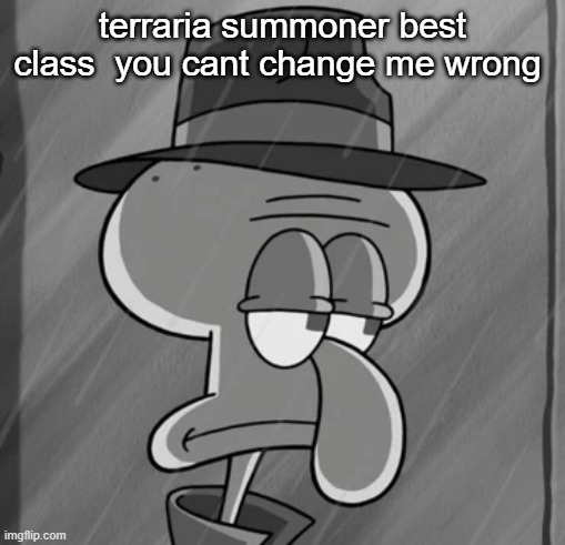 squid noir | terraria summoner best class  you cant change me wrong | image tagged in squid noir | made w/ Imgflip meme maker