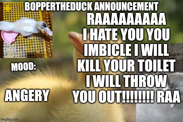 RAAAAAAAAA I HATE YOU YOU IMBICLE I WILL KILL YOUR TOILET I WILL THROW YOU OUT!!!!!!!! RAA; ANGERY | image tagged in boppertheduck announcement | made w/ Imgflip meme maker