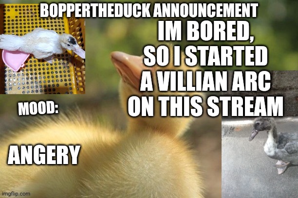 IM BORED, SO I STARTED A VILLIAN ARC ON THIS STREAM; ANGERY | image tagged in boppertheduck announcement | made w/ Imgflip meme maker