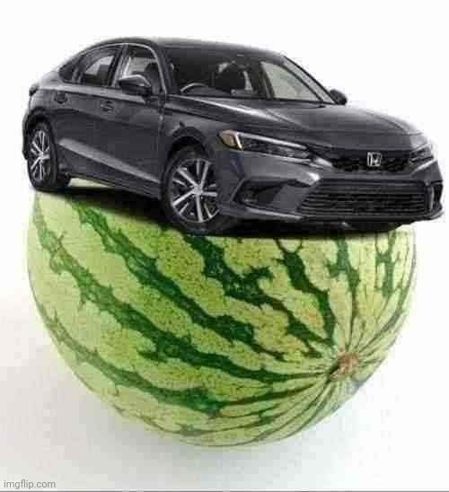 CivicMelon | image tagged in civicmelon | made w/ Imgflip meme maker