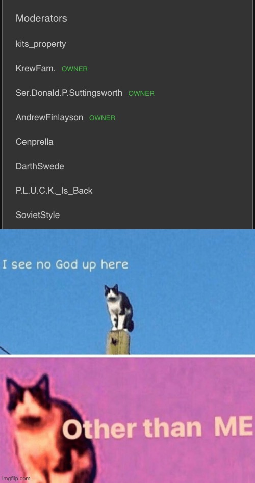 at the top again lol | image tagged in hail pole cat | made w/ Imgflip meme maker