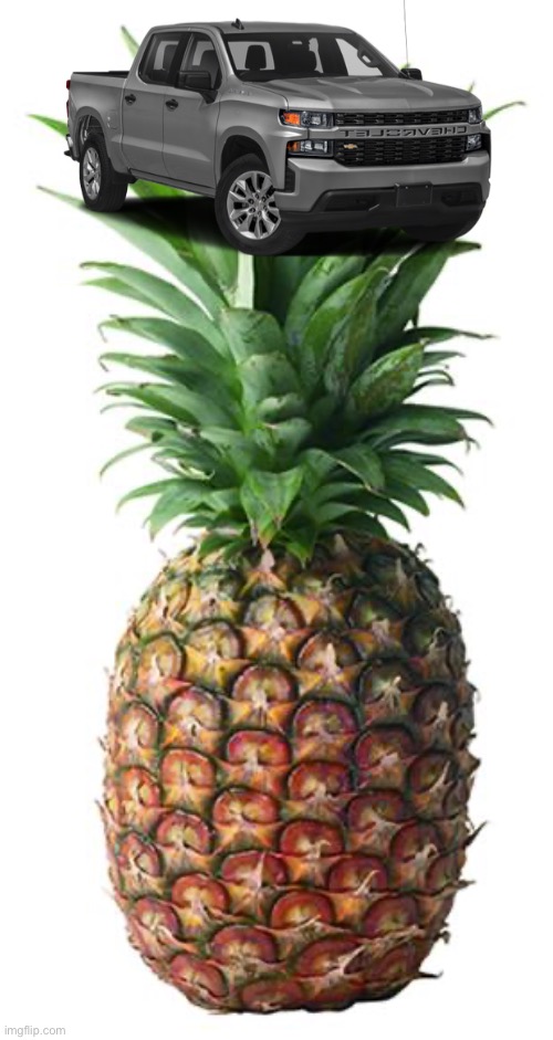 ChevroletPinapple | image tagged in pineapple | made w/ Imgflip meme maker