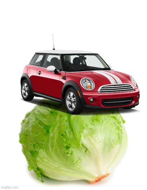 CooperLettuce | image tagged in lettuce | made w/ Imgflip meme maker