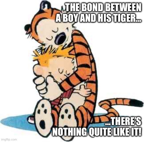 Calvin and Hobbes | THE BOND BETWEEN A BOY AND HIS TIGER…; …THERE’S NOTHING QUITE LIKE IT! | image tagged in calvin and hobbes | made w/ Imgflip meme maker