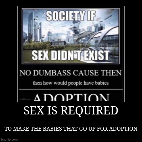 SEX IS REQUIRED | TO MAKE THE BABIES THAT GO UP FOR ADOPTION | image tagged in funny,demotivationals | made w/ Imgflip demotivational maker