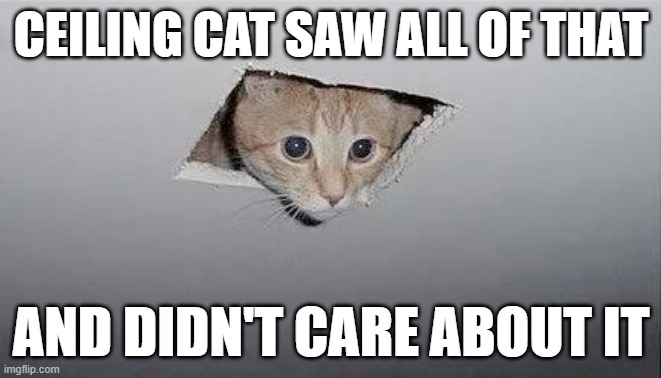 ceiling cat | CEILING CAT SAW ALL OF THAT; AND DIDN'T CARE ABOUT IT | image tagged in ceiling cat | made w/ Imgflip meme maker