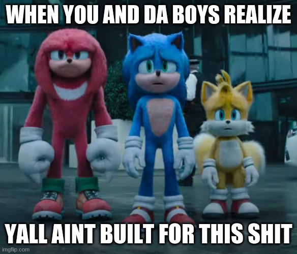 You And Da Boys | WHEN YOU AND DA BOYS REALIZE; YALL AINT BUILT FOR THIS SHIT | image tagged in memes,sonic the hedgehog,sonic meme,funny memes,sonic | made w/ Imgflip meme maker