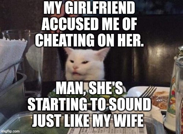 Smudge that darn cat | MY GIRLFRIEND ACCUSED ME OF CHEATING ON HER. MAN, SHE'S STARTING TO SOUND JUST LIKE MY WIFE | image tagged in smudge that darn cat | made w/ Imgflip meme maker