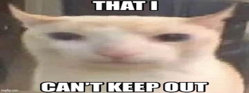 made w/ Imgflip meme maker