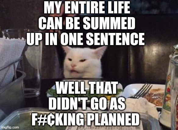 Smudge that darn cat | MY ENTIRE LIFE CAN BE SUMMED UP IN ONE SENTENCE; WELL THAT DIDN'T GO AS F#¢KING PLANNED | image tagged in smudge that darn cat | made w/ Imgflip meme maker