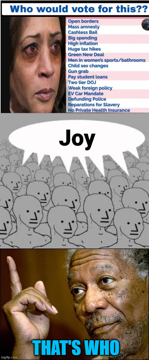 That's who... People who hate America | THAT'S WHO | image tagged in their joy is another lie | made w/ Imgflip meme maker