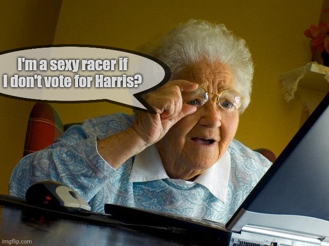 Well I don't see anything wrong with that | I'm a sexy racer if I don't vote for Harris? | image tagged in memes,grandma finds the internet | made w/ Imgflip meme maker