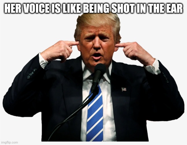 Trump I can't hear you | HER VOICE IS LIKE BEING SHOT IN THE EAR | image tagged in trump i can't hear you | made w/ Imgflip meme maker