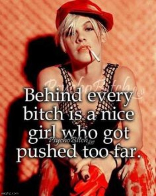 Bitch ! | image tagged in pretending to be happy hiding crying behind a mask | made w/ Imgflip meme maker