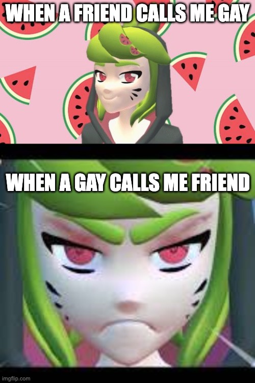 WHEN A FRIEND CALLS ME GAY; WHEN A GAY CALLS ME FRIEND | image tagged in melony cute,angry melony | made w/ Imgflip meme maker