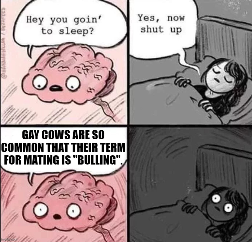 Didn't know gay people liked bowling so much. *Badum psh* | GAY COWS ARE SO COMMON THAT THEIR TERM FOR MATING IS "BULLING". | image tagged in waking up brain | made w/ Imgflip meme maker