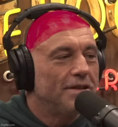 Dutch Captain Joe Rogan | image tagged in joe,rogan,dutch,cap,captain,experience | made w/ Imgflip meme maker