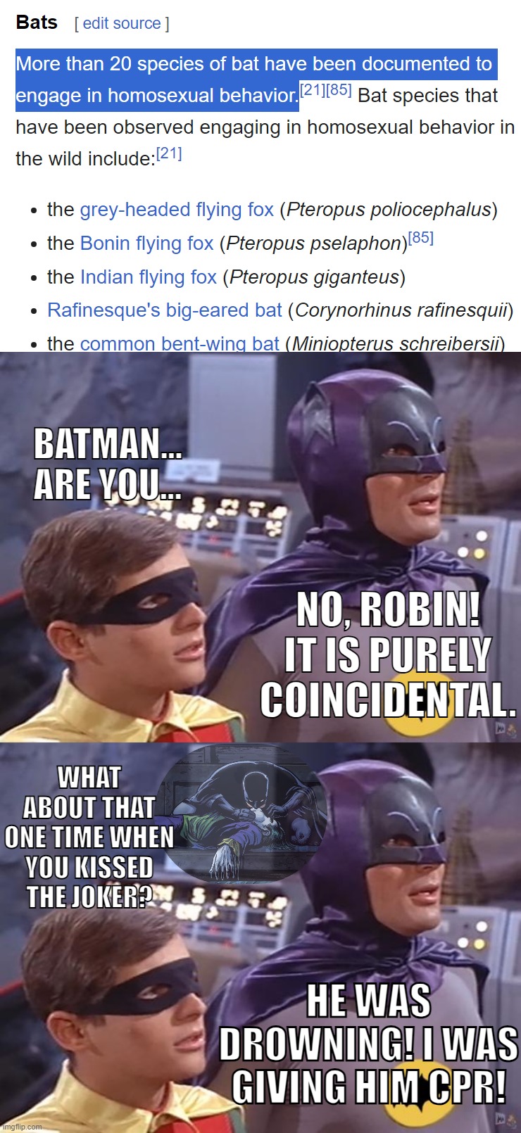 Whatever you say, Bruce. :) | BATMAN... ARE YOU... NO, ROBIN!
IT IS PURELY COINCIDENTAL. WHAT ABOUT THAT ONE TIME WHEN YOU KISSED THE JOKER? HE WAS DROWNING! I WAS GIVING HIM CPR! | image tagged in batman and robin | made w/ Imgflip meme maker