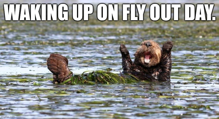 Fly Out Day | WAKING UP ON FLY OUT DAY. | image tagged in mining | made w/ Imgflip meme maker