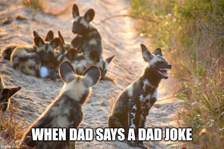 Dad Joke | WHEN DAD SAYS A DAD JOKE | image tagged in dad joke | made w/ Imgflip meme maker