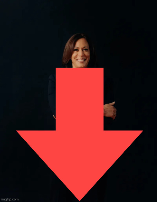 KommieLa's New Suit | image tagged in korrupt kamala in black,political meme,politics,funny memes,funny | made w/ Imgflip meme maker