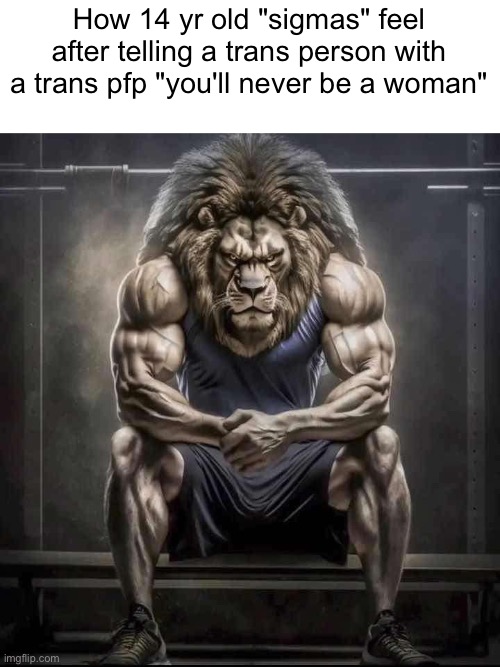 Plot twist it's a trans man they said that to | How 14 yr old "sigmas" feel after telling a trans person with a trans pfp "you'll never be a woman" | image tagged in how bro felt after saying that | made w/ Imgflip meme maker