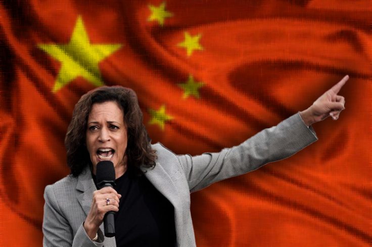 Kamala Harris With CCP Flag Blank Meme Template