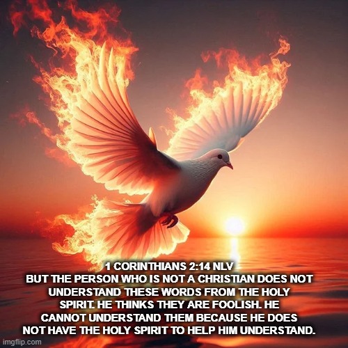 a non-believer cannot understand the Holy Spirit | 1 CORINTHIANS 2:14 NLV
BUT THE PERSON WHO IS NOT A CHRISTIAN DOES NOT UNDERSTAND THESE WORDS FROM THE HOLY SPIRIT. HE THINKS THEY ARE FOOLISH. HE CANNOT UNDERSTAND THEM BECAUSE HE DOES NOT HAVE THE HOLY SPIRIT TO HELP HIM UNDERSTAND. | made w/ Imgflip meme maker