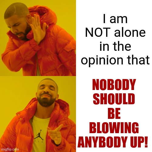 Peace Through Superior Intelligence Or Peace Through Superior Compassion Or Peace Because We Threw Away The BOMBS | I am NOT alone in the opinion that; NOBODY SHOULD BE BLOWING ANYBODY UP! | image tagged in memes,drake hotline bling,be kind,world peace,love wins,love love love | made w/ Imgflip meme maker