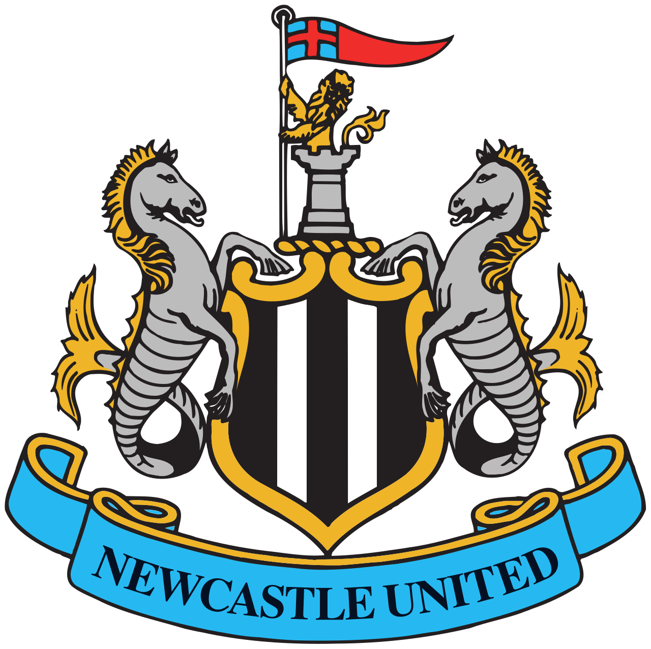 Newcastle United Blank Meme Template