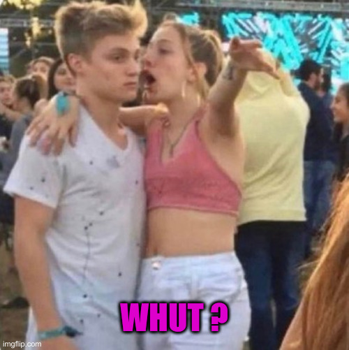 Girl talking to guy passionately | WHUT ? | image tagged in girl talking to guy passionately | made w/ Imgflip meme maker