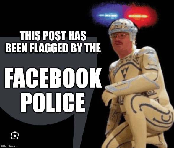 Facebook police | THIS POST HAS BEEN FLAGGED BY THE; FACEBOOK POLICE | image tagged in reaction,facebook jail | made w/ Imgflip meme maker