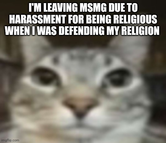 Really bro | I'M LEAVING MSMG DUE TO HARASSMENT FOR BEING RELIGIOUS WHEN I WAS DEFENDING MY RELIGION | image tagged in really bro | made w/ Imgflip meme maker