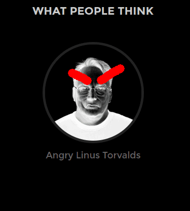 Angry Linus Torvalds Blank Meme Template