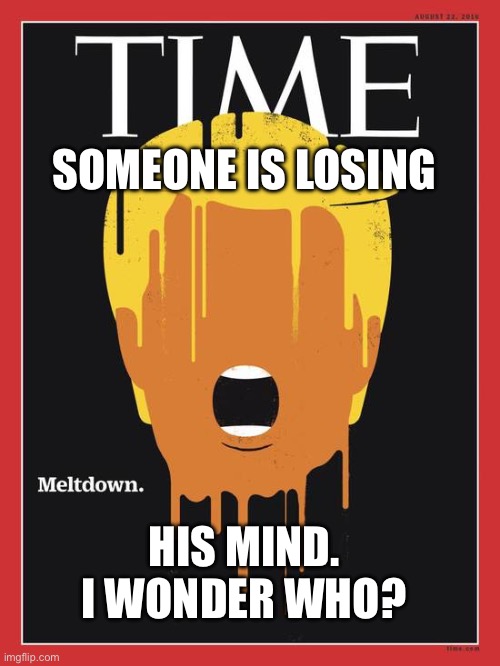 Trump Meltdown TIME cover | SOMEONE IS LOSING; HIS MIND. I WONDER WHO? | image tagged in trump meltdown time cover | made w/ Imgflip meme maker