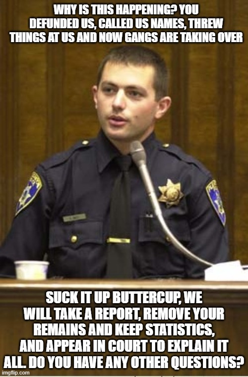 You voted for it | WHY IS THIS HAPPENING? YOU DEFUNDED US, CALLED US NAMES, THREW THINGS AT US AND NOW GANGS ARE TAKING OVER; SUCK IT UP BUTTERCUP, WE WILL TAKE A REPORT, REMOVE YOUR REMAINS AND KEEP STATISTICS, AND APPEAR IN COURT TO EXPLAIN IT ALL. DO YOU HAVE ANY OTHER QUESTIONS? | image tagged in police officer testifying,you voted for it,crying democrats,democrat war on america,no help coming,defund democrats | made w/ Imgflip meme maker