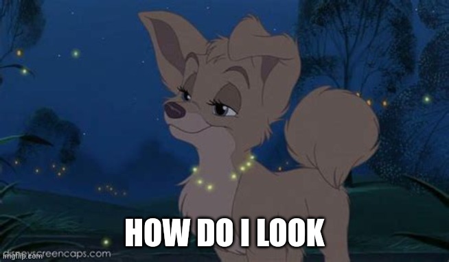 How Do I Look | HOW DO I LOOK | image tagged in lady and the tramp 2 angel | made w/ Imgflip meme maker