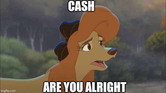 Cash Are You Alright | CASH; ARE YOU ALRIGHT | image tagged in dixie is like who are you | made w/ Imgflip meme maker