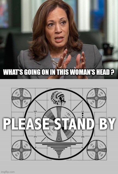 kamala harris meme | WHAT'S GOING ON IN THIS WOMAN'S HEAD ? | image tagged in kamala harris | made w/ Imgflip meme maker