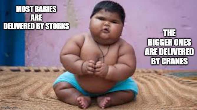 memes by Brad - Most babies are delivered by a stork - humor | MOST BABIES ARE DELIVERED BY STORKS; THE BIGGER ONES ARE DELIVERED BY CRANES | image tagged in funny,fun,babies,birth,funny meme,humor | made w/ Imgflip meme maker