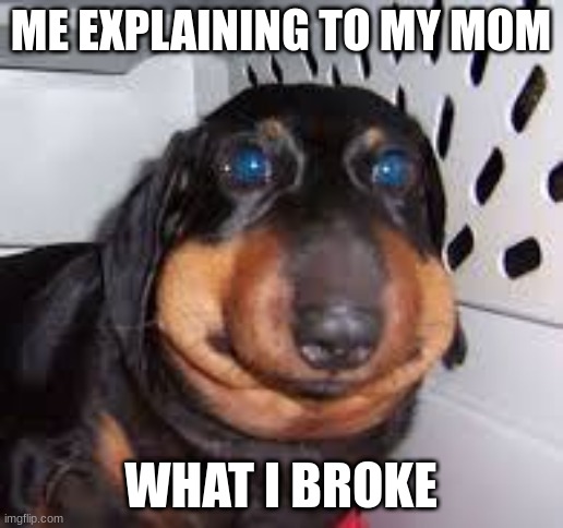 sorry low resolution... | ME EXPLAINING TO MY MOM; WHAT I BROKE | image tagged in he ate a bee,the_block | made w/ Imgflip meme maker