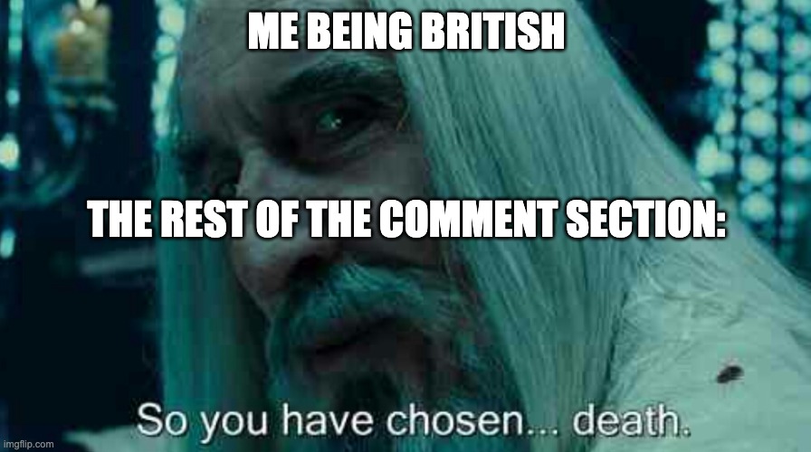 So you have chosen death | ME BEING BRITISH THE REST OF THE COMMENT SECTION: | image tagged in so you have chosen death | made w/ Imgflip meme maker