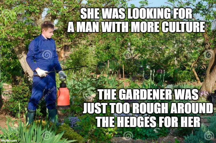 memes by Brad - The gardener was too rough around the hedges - humor | SHE WAS LOOKING FOR A MAN WITH MORE CULTURE; THE GARDENER WAS JUST TOO ROUGH AROUND THE HEDGES FOR HER | image tagged in funny,fun,relationships,gardening,humor,funny meme | made w/ Imgflip meme maker