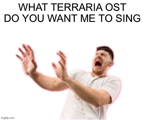 . | WHAT TERRARIA OST DO YOU WANT ME TO SING | made w/ Imgflip meme maker