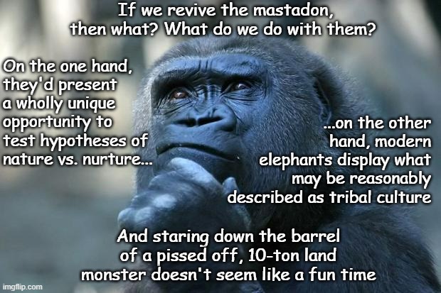 Modern solutions resurrect ancient problems | If we revive the mastadon, then what? What do we do with them? On the one hand,
they'd present a wholly unique opportunity to test hypotheses of nature vs. nurture... ...on the other hand, modern elephants display what may be reasonably described as tribal culture; And staring down the barrel of a pissed off, 10-ton land monster doesn't seem like a fun time | image tagged in deep thoughts | made w/ Imgflip meme maker