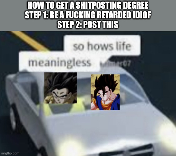 i did this and got shitposting degree | HOW TO GET A SHITPOSTING DEGREE
STEP 1: BE A FUCKING RETARDED IDIOF
STEP 2: POST THIS | image tagged in vegito and gogeta | made w/ Imgflip meme maker