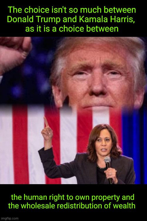 The choice isn't so much between Donald Trump and Kamala Harris,  as it is a choice between | The choice isn't so much between
Donald Trump and Kamala Harris, 
as it is a choice between; the human right to own property and
the wholesale redistribution of wealth | image tagged in trump and kamala,redistribution of wealth | made w/ Imgflip meme maker