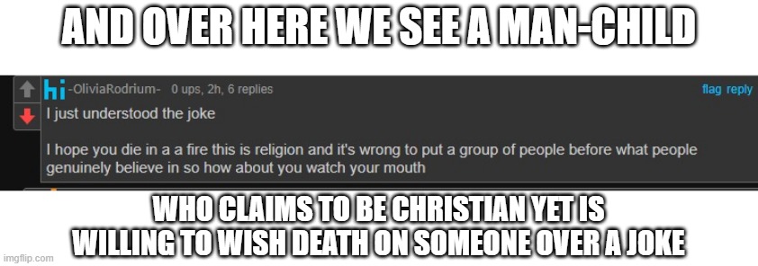 https://imgflip.com/i/91zrap?nerp=1725116503#com33081739 | AND OVER HERE WE SEE A MAN-CHILD; WHO CLAIMS TO BE CHRISTIAN YET IS WILLING TO WISH DEATH ON SOMEONE OVER A JOKE | image tagged in no tags | made w/ Imgflip meme maker